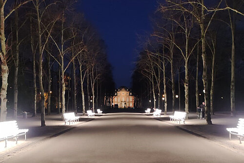 Hofgarten and Gustav-Gründgens-Platz