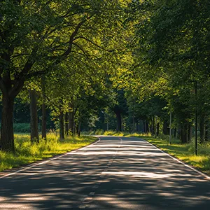 Landes- und Kreisstraßen Landes- und Kreisstraßen